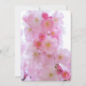 Cherry Blossoms Sla de datum op Kaart (Achterkant)