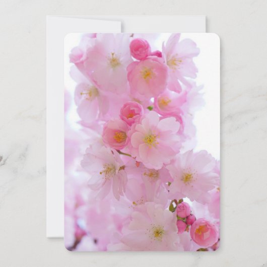 Cherry Blossoms Sla de datum op Kaart (Achterkant)