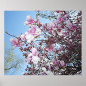 Cherry Blossoms Tree Poster (Voorkant)
