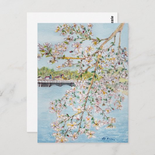 Cherry Blossoms Washington DC Painterly Watercolor Briefkaart (Voorkant / Achterkant)