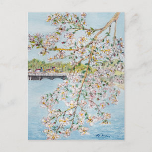 Cherry Blossoms Washington DC Painterly Watercolor Briefkaart