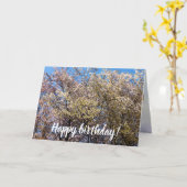 Cherry-bomen in volbloei op een warme dag van de l kaart (Gele Bloem)