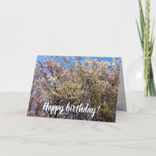 Cherry-bomen in volbloei op een warme dag van de l kaart (Voorkant)