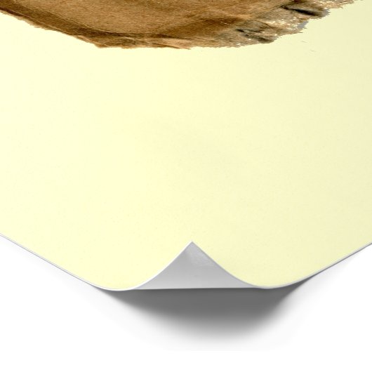 Cherry Branch op karton Poster (Hoek)