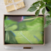 Cherry Cherries Hanging Tree Branches Decoupage Tissuepapier (Geschenk)