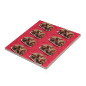 Cherry Chocolate Marshmallow Fudge op een Bord Tegeltje (Zijkant)