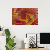 Cherry Creek Jasper Poster (Thuiskantoor)