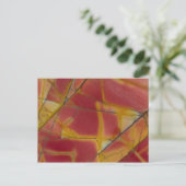 Cherry Creek Jaspis Briefkaart (Staand voorkant)