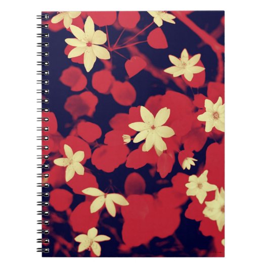 Cherry en rood Notitieboek (Voorkant)