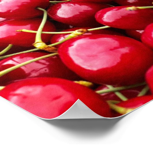 Cherry Galore Poster (Hoek)