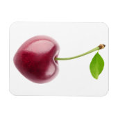 Cherry hart magneet (Horizontaal)