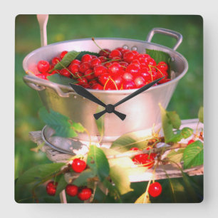 Cherry harves, Cottage garden Rosalinde Vierkante Klok