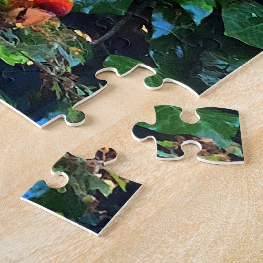 Cherry Headed Conure #1 Legpuzzel (Zijkant)