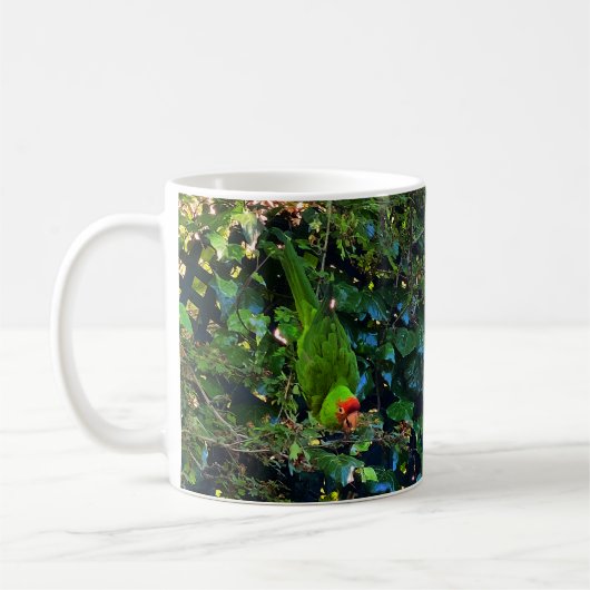 Cherry Headed Conure #1 Mok (Links)