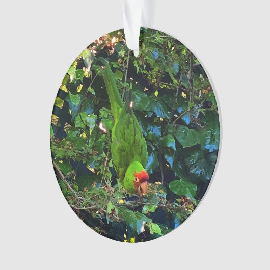 Cherry Headed Conure #1 Ornament (voorkant)