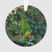 Cherry Headed Conure #1 Ornament (voorkant)