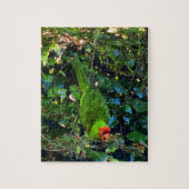 Cherry Headed Conure #1 puzzel Legpuzzel (Verticaal)