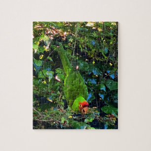 Cherry Headed Conure #1 puzzel Legpuzzel