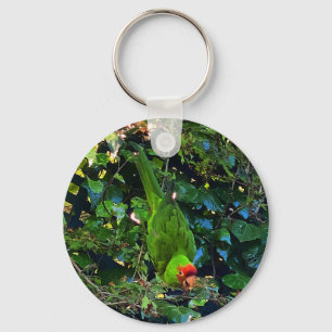 Cherry Headed Conure #1 Sleutelhanger