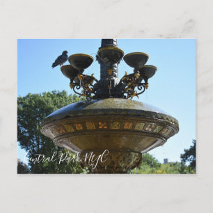 Cherry Hill Fountain Central Park Briefkaart