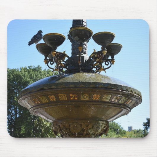 Cherry Hill Fountain Central Park Muismat (Voorkant)