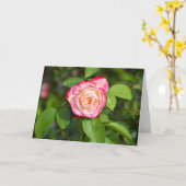 Cherry Parfait Roos Kaart (Gele Bloem)
