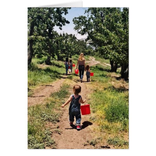 Cherry Picking Time (Voorkant)