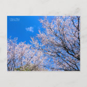 Cherry Plum [Briefkaart] Briefkaart (Voorkant)