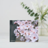 Cherry Plum:Briefkaart Briefkaart (Staand voorkant)