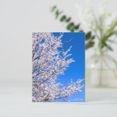 Cherry Plum:Briefkaart Briefkaart (Staand voorkant)