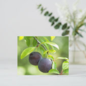 Cherry plum on tak briefkaart (Staand voorkant)