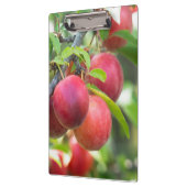 Cherry plum on tak klembord (Links)