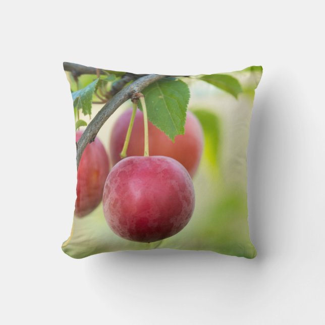 Cherry plum on tak kussen (Voorkant)