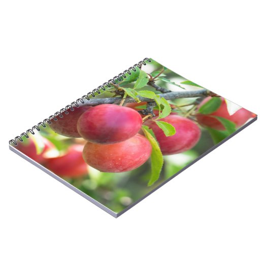 Cherry plum on tak notitieboek (Linkerzijde)