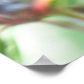 Cherry plum on tak poster (Hoek)