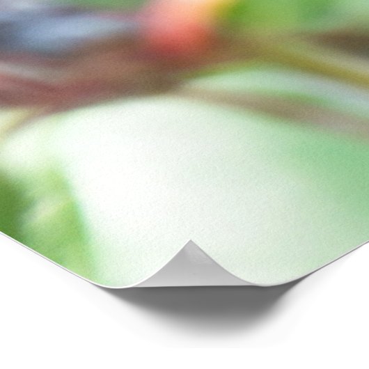 Cherry plum on tak poster (Hoek)