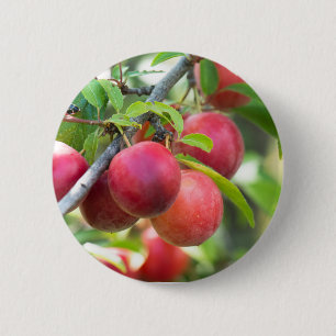 Cherry plum on tak ronde button 5,7 cm