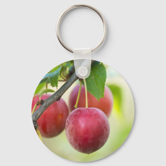 Cherry plum on tak sleutelhanger (Voorkant)