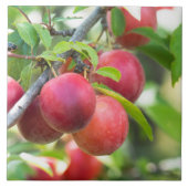 Cherry plum on tak tegeltje (Voorkant)