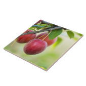 Cherry plum on tak tegeltje (Zijkant)