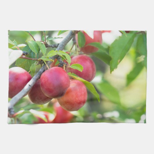 Cherry plum on tak theedoek (Horizontaal)