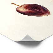 Cherry Plum (Prunus Cerasifera var. Divaricata) Poster (Hoek)