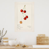 Cherry Poster (Keuken)