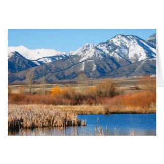 Cherry River van Cynthia Wenslow