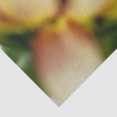 Cherry Roos Sunflower Tissuepapier (Detail)