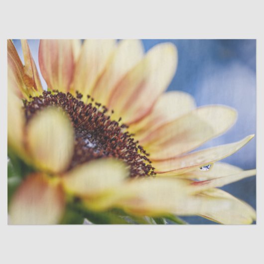 Cherry Roos Sunflower Tissuepapier (Voorkant)