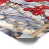 Cherry Snow Cones Poster (Hoek)