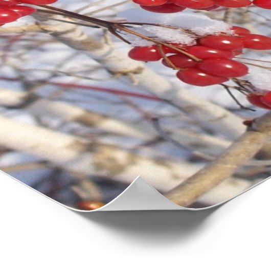 Cherry Snow Cones Poster (Hoek)