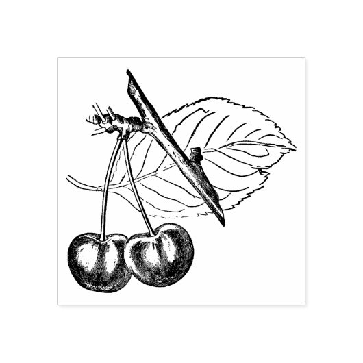  Cherry Stamp Rubberstempel (Afrduk)