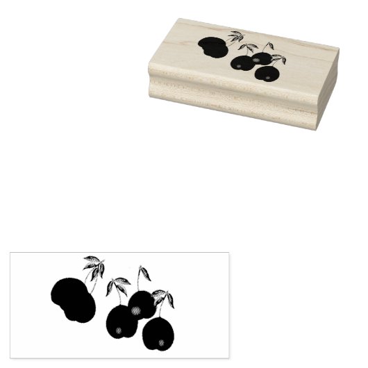 Cherry Stems Art Stamp Rubberstempel (Gestempeld)